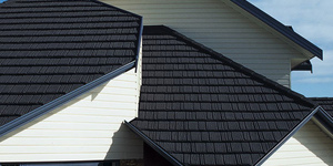 Gerard Shake, Charcoal 2.jpg