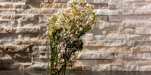 3D панели Кварцит Beige Quartz Classic 13