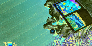 Террасная доска из ДПК Bamberg, Solid, African Bubinga22