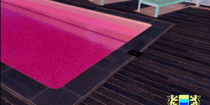 Террасная доска из ДПК Bamberg, Square, English Barnwood28