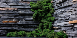 Сланец Cape Skagen Country