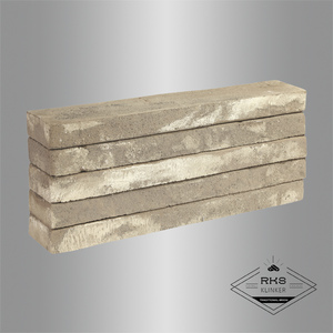 Ригельный кирпич LOPO QXK 5880, 490x90x40 мм