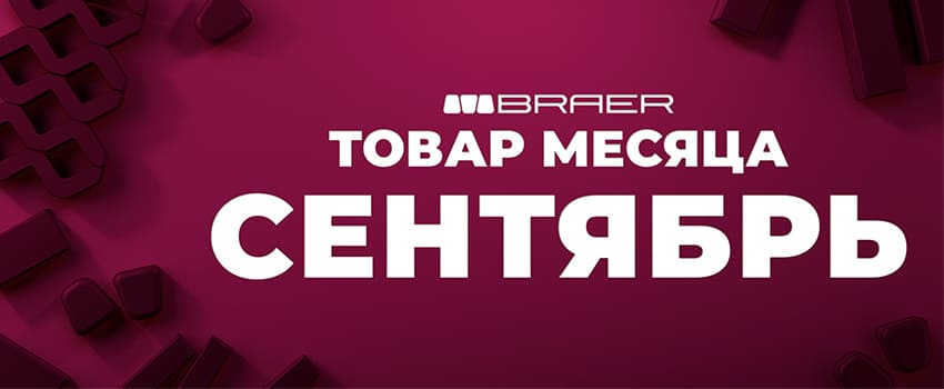 Купите тротуарную плитку Braer по акции! Широкий ассортимент, низкие цены от официального дилера RKS KLINKER. Доставка по городу!